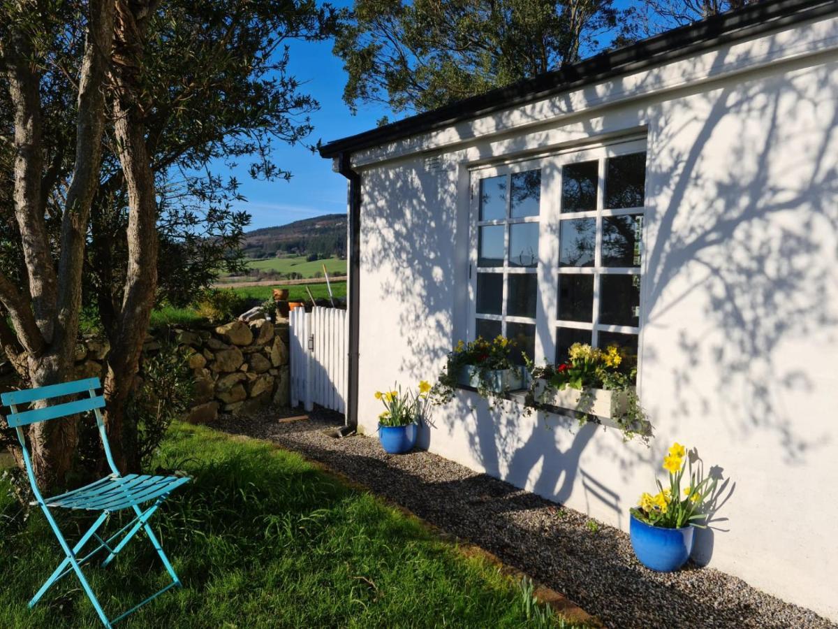Lynam Cottage Ashford Екстериор снимка